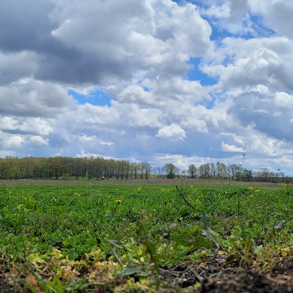 Live NOW PALLET PULLS Like this to be notified when we go live again - Picture 6 of 6